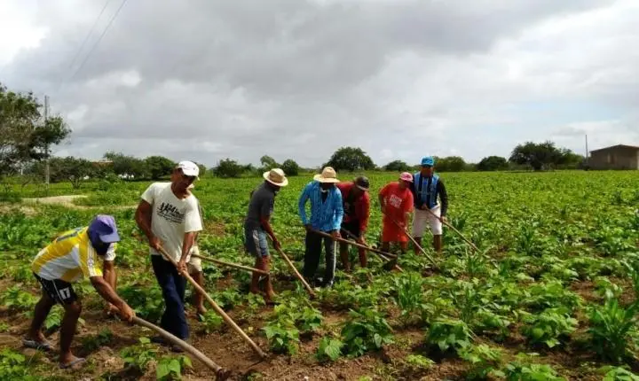 Castelo recebe galpão rural e equipamentos para fortalecer agricultura familiar