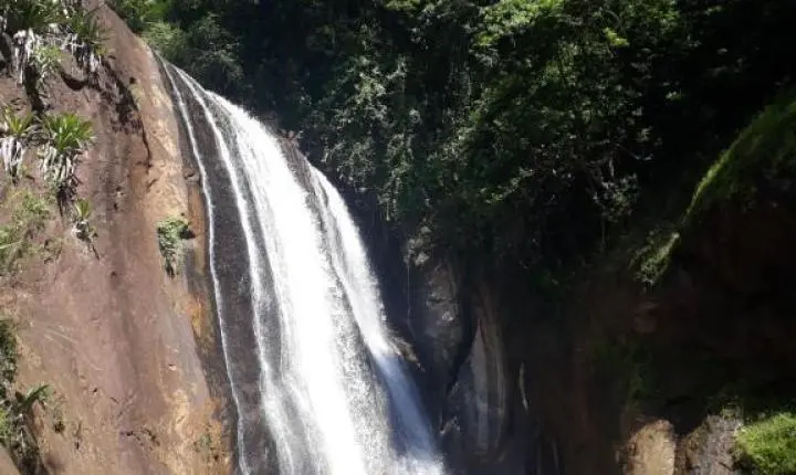 Colanella amplia projeto com encontros e passeios pelo Espírito Santo