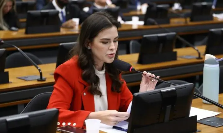 Comissão aprova prioridade para gestantes e lactantes em epidemias