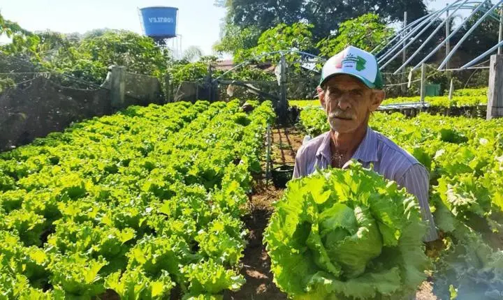 Do campo ao carbono: projeto leva agricultores capixabas a novo mercado e renda de longo prazo
