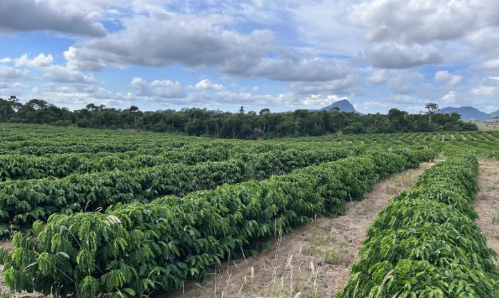 El Niño acende alerta no campo e produtores serão orientados sobre impactos no Espírito Santo