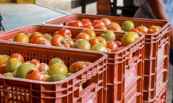 Entidades têm até 30 de junho para disputar vagas no Conselho de Segurança Alimentar de Cachoeiro