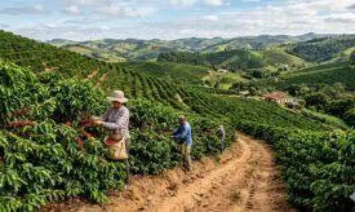 Espírito Santo abre portas para o mundo: programa levará startups do agro para missão internacional na Itália