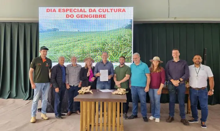 Espírito Santo abre safra 2026 do gengibre com investimento milionário em pesquisa e inovação