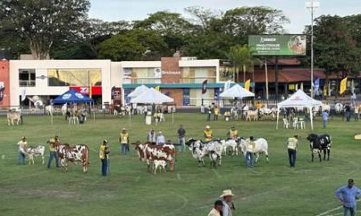 Expoinel reúne 1.096 animais e 112 criadores em Uberaba