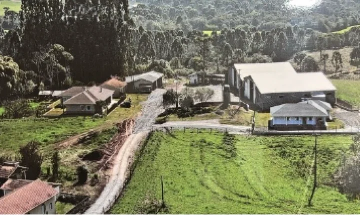Família eleva produtividade da soja a 130 sacas por hectare