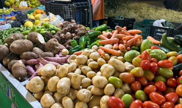 Feira da Agricultura Familiar movimenta Cariacica com produtos locais, gastronomia e música ao vivo