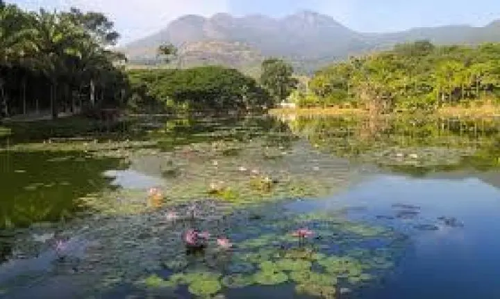 Feriadão na Serra: parques viram refúgio de lazer, esporte e natureza