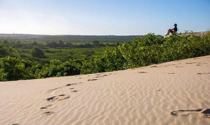 Feriado do Trabalhador: parques estaduais do ES funcionam normalmente