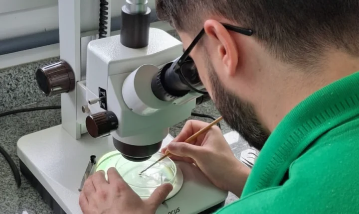 Incaper convoca novos servidores e reforça atuação no campo capixaba