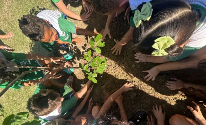 Ipê cultivado por crianças de creche ganha novo lar no Parque da Cidade, na Serra
