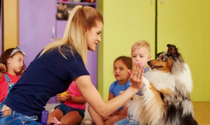 Pets em sala de aula podem favorecer aprendizagem e desenvolvimento emocional