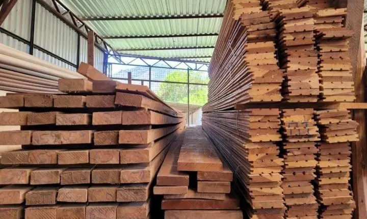 Prazo final se aproxima e setor madeireiro deve regularizar migração para novo sistema florestal