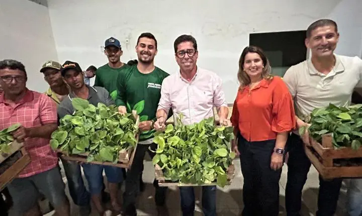 Projeto Arranjos Produtivos entrega mudas de banana e pimenta para agricultores do norte do ES