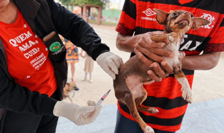 Serra terá vacinação antirrábica para cães e gatos em dois shoppings neste sábado (17)