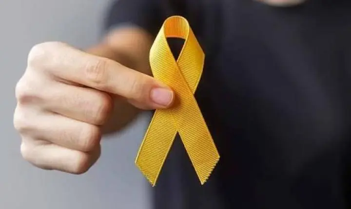 Setembro Amarelo: Alfredo Chaves terá Dia D com serviços gratuitos de saúde nesta sexta (25)