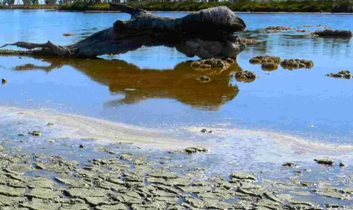 Super El Niño pode afetar alimentos, água e energia no Espírito Santo