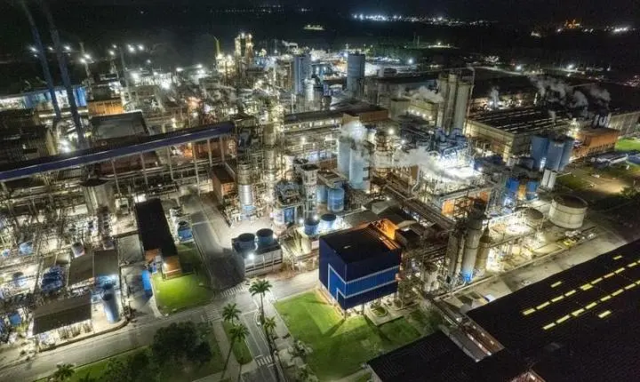 Suzano reforça ações de saúde mental no ambiente de trabalho