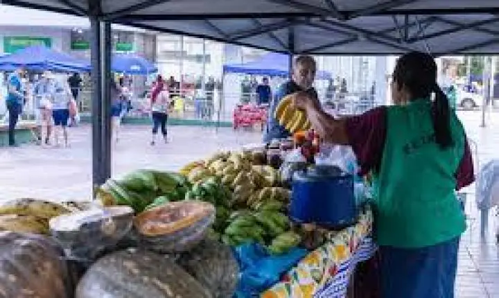 Tradicional feira acontece na Praça Colombo Guardia, das 5h30 às 12h, com frutas, verduras, queijos, pães, bolos, ovos, plantas e outras opções produzidas no município