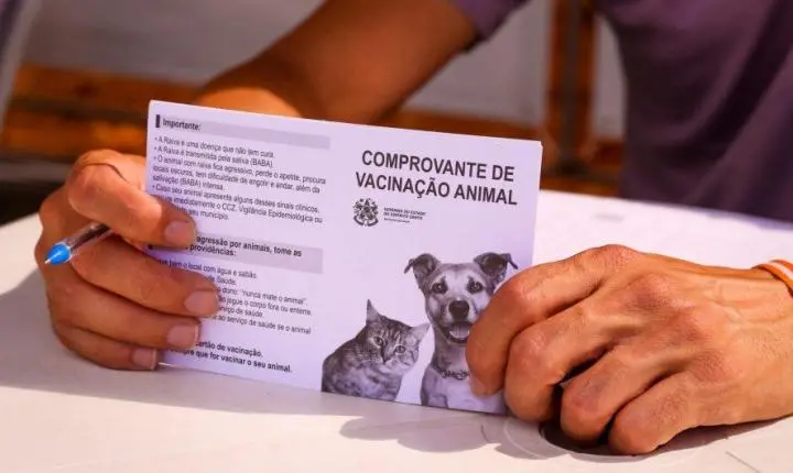 Vacinação antirrábica chega aos distritos de Cachoeiro neste sábado (29); veja todos os locais